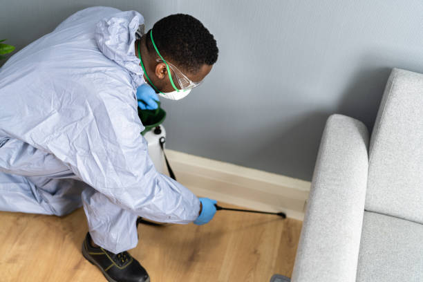 Best Residential Pest Control  in New Middletown, OH